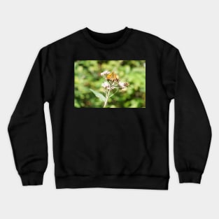 Bee And Moth On Water Hemp Flower Crewneck Sweatshirt